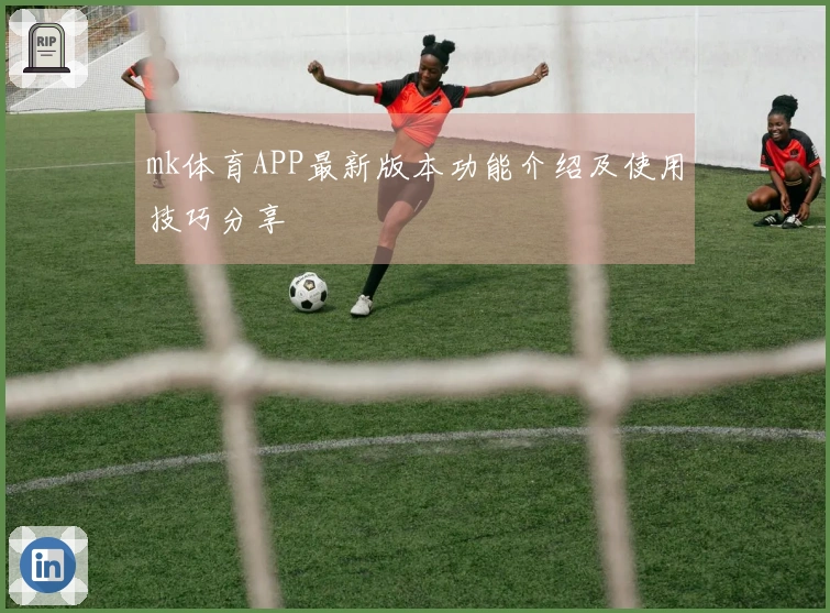 mk体育APP最新版本功能介绍及使用技巧分享